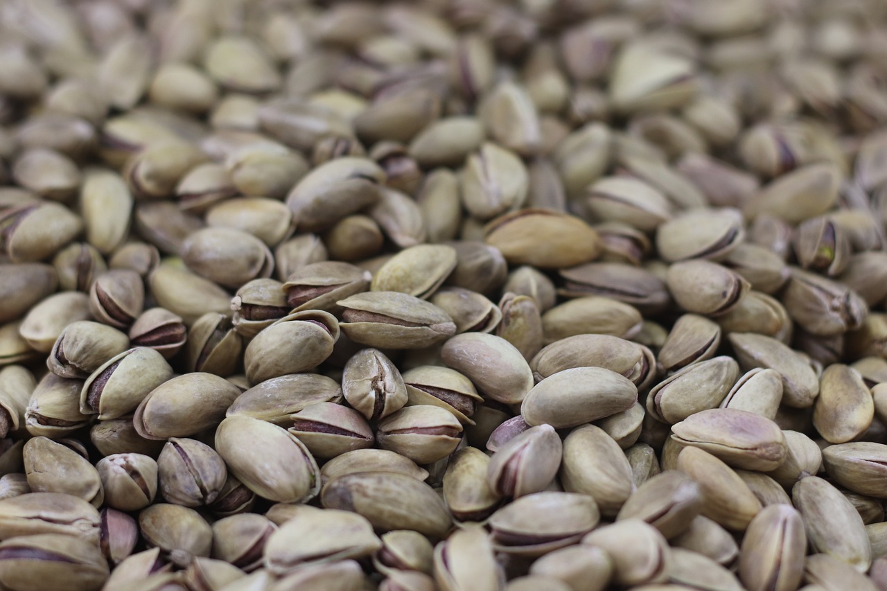 The Future of Sack Manufacturing: Sustainable Innovations Transforming Paper Packaging in the UK