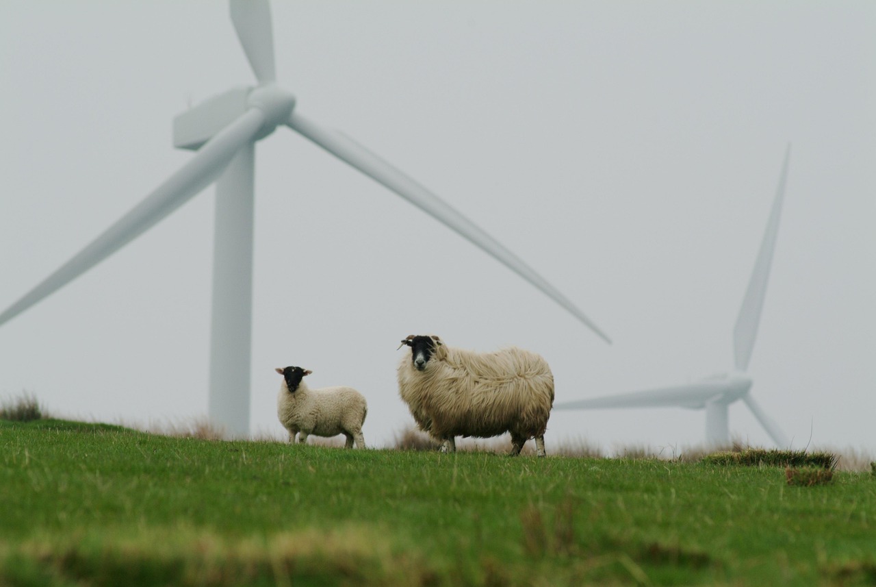 Closer. Greener. Smarter: The Case for UK Sack Manufacturing